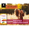 PRIMROSE-E DIETARY SUPPLEMENT ( PRIMROSE OIL 1000 MG + VITAMIN E 20 MG ) 30 SOFT GELATIN CAPSULES